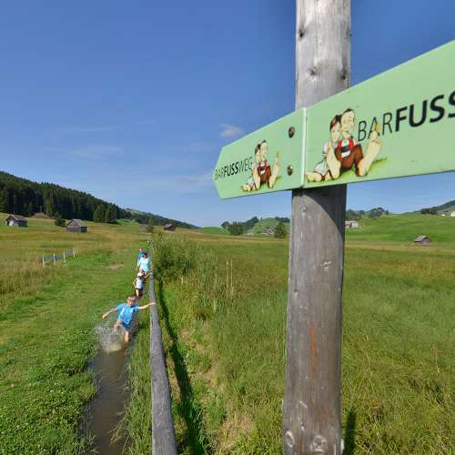 «de ringeweg»